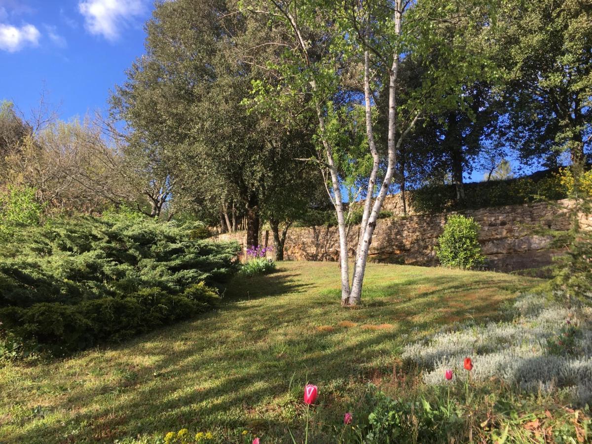 Bed and Breakfast Chambre De Madel Domme Exterior foto
